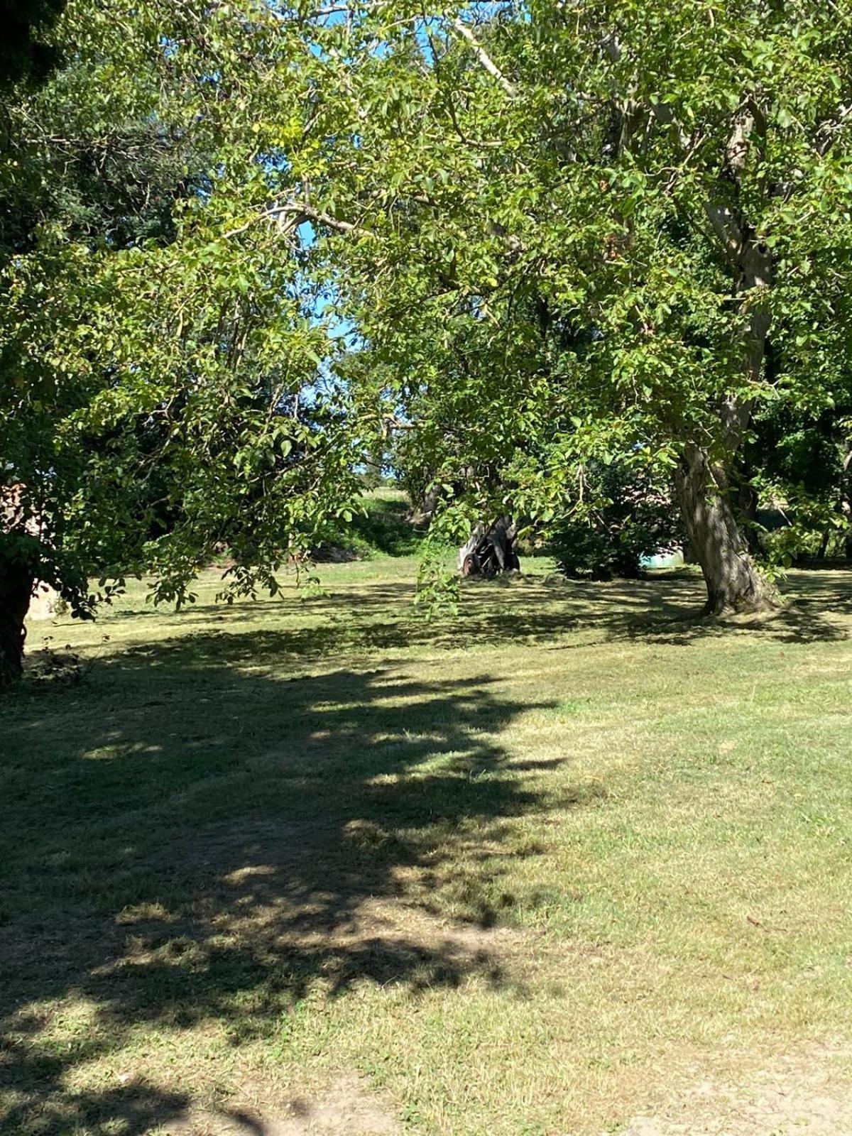 Les Anges Bleus Villa Chavannes-Sur-Reyssouze Luaran gambar